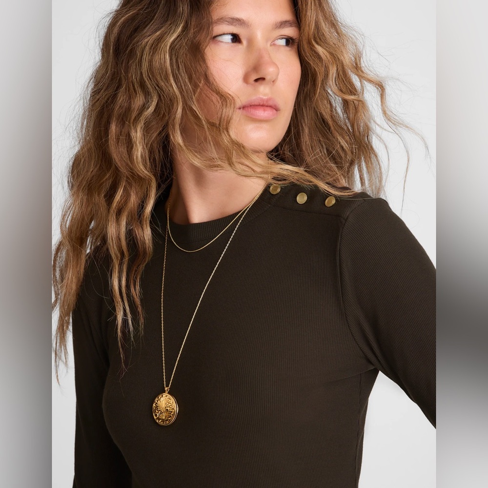 Dark brown long sleeve Madewell top